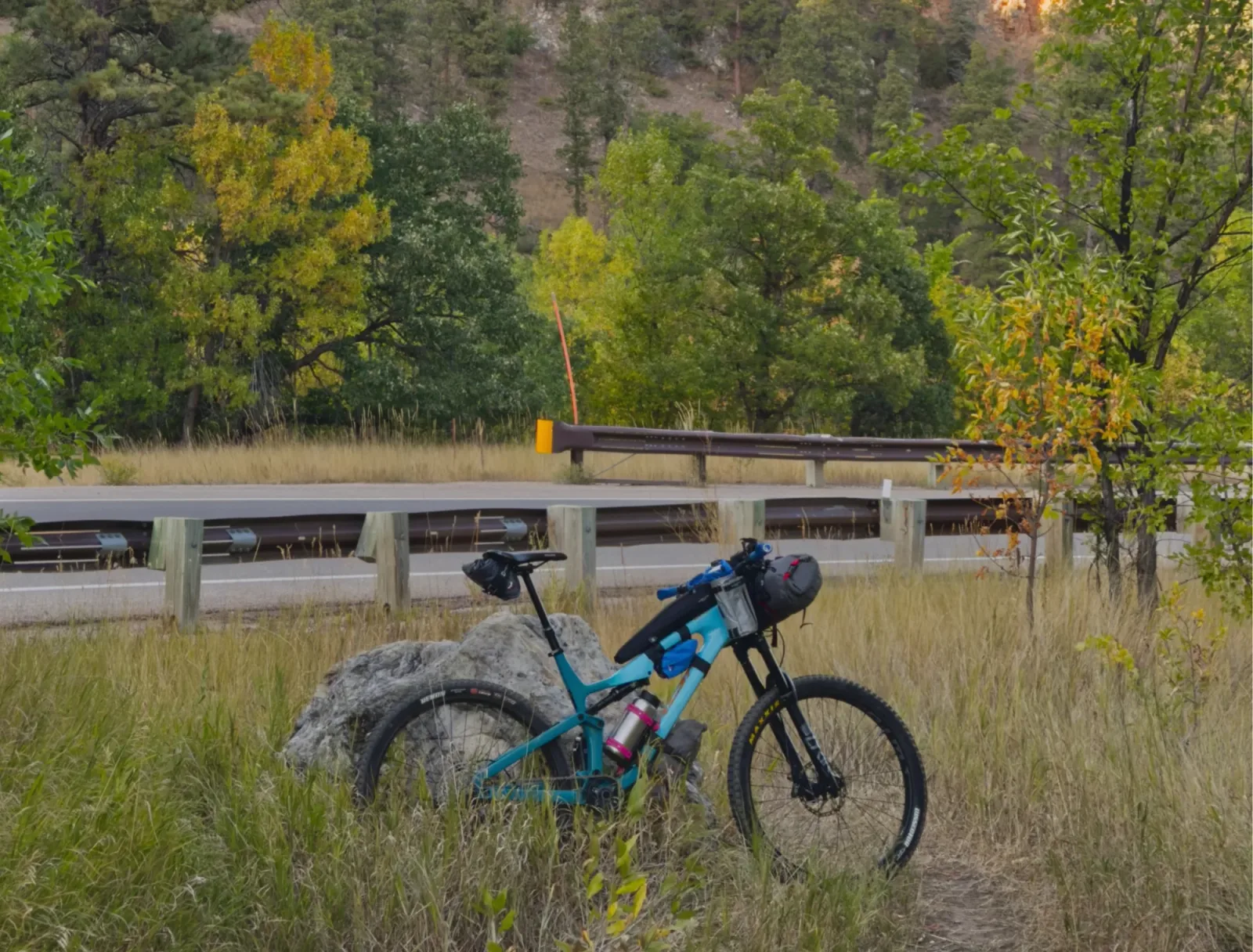 The Salsa Rustler loaded with bikepacking bags, leaning on a boulder in tall grass beside a guardrail, with pines and yellowing trees behind.
